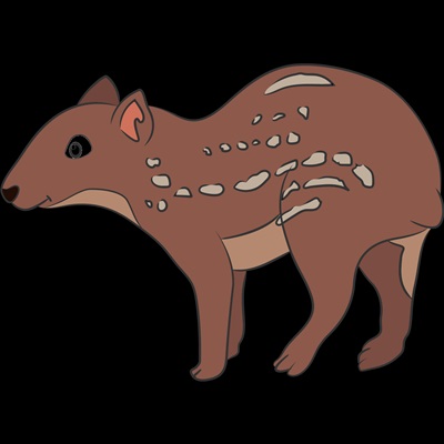 centena-plus-resultado