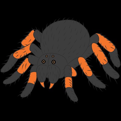 centena-plus-resultado