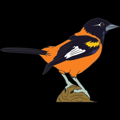 centena-plus-resultado