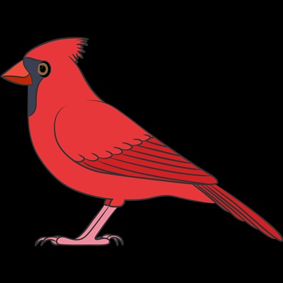 centena-plus-resultado