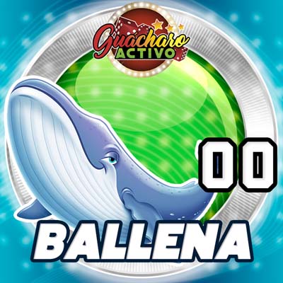guacharo-resultado