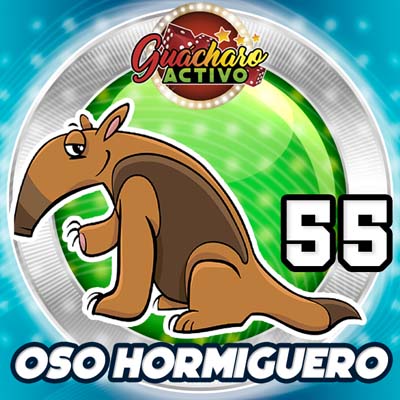 guacharo-resultado