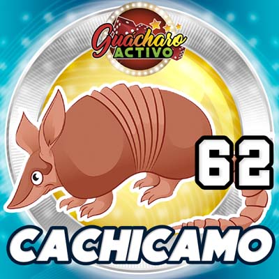 guacharo-resultado
