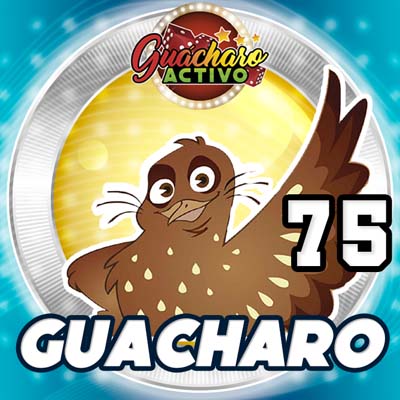 guacharo-resultado